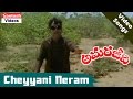 Cheyyani Neram Amara Jeevi Telugu Movie Video Song Akkineni Nageswara Rao Jaya Prada