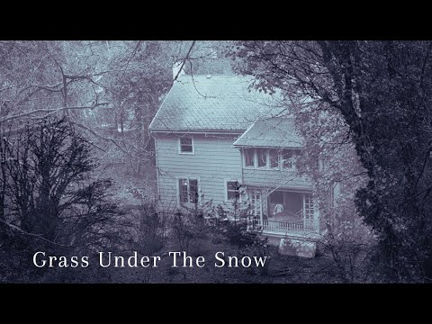 Dustin Silva - Grass Under The Snow - (Official Music Video)