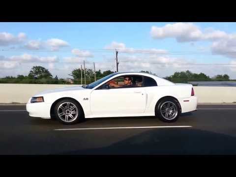 Expressway pulls in the mustangs