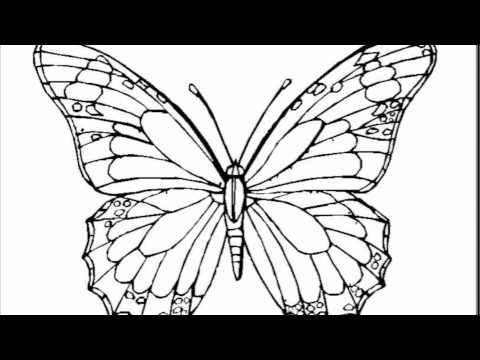 Lamea - Butterfly Blong Madang