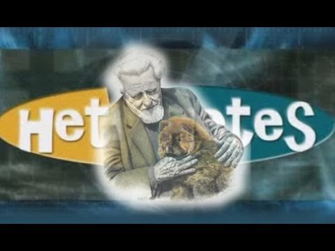 Heti Hetes 2007.02.04. - Törvényekről, állatokról és Konrad Lorenz kutyáiról