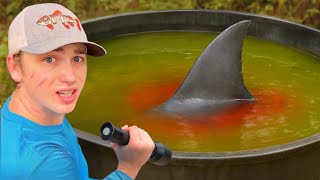 I Found Mysterious Fish Living in an Abandoned Pond…