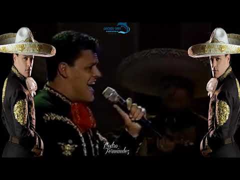 Pedro Fernandez SIn verte