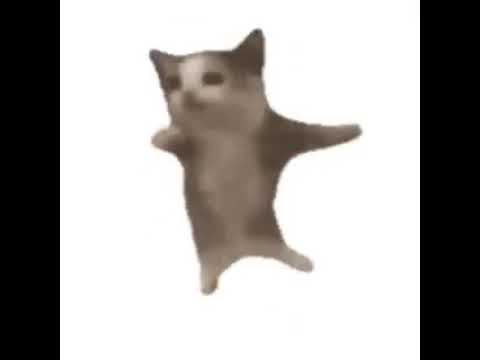 ١٦ أغسطس ٢٠٢٥