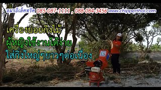 เครื่องย่อยกิ่งไม้ใบไม้ เครื่องสับย่อยเอนกประสงค์ 085-087-1111 อมรอิเล็คทริค S1 6210 Platinum6.5HP