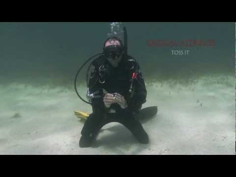 Regulator Recovery and Clearing.mpg