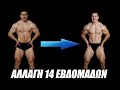 14 Weeks Transformation | Η Αλλαγή 14 Εβδομάδων με Αριθμούς | Βάρος, Θερμίδες πόσο άλλαξαν
