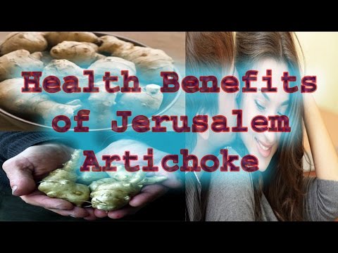 , title : 'Health Benefits of Jerusalem Artichoke 2016 | 10 Health Benefits of Jerusalem Artichoke 2016'