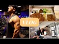 VLOG#73 | Daily Vlog | 健身 | 美食 | 日常 | Lazy Bug