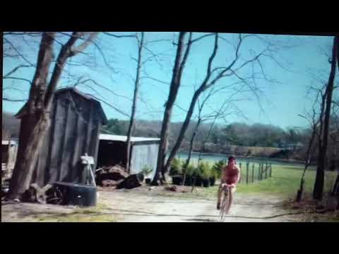 Infinitely polar bear manic clip