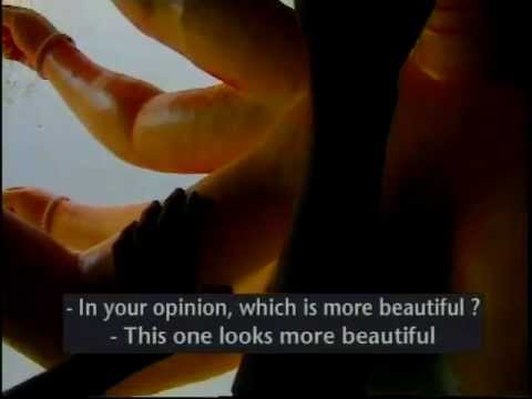 Skin Deep, by Reena Mohan, trailer by Under Construction