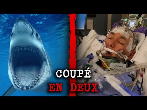 Ce Pauvre Pêcheur a Chuté Directement Dans la Bouche de ce Grand Requin Blanc...