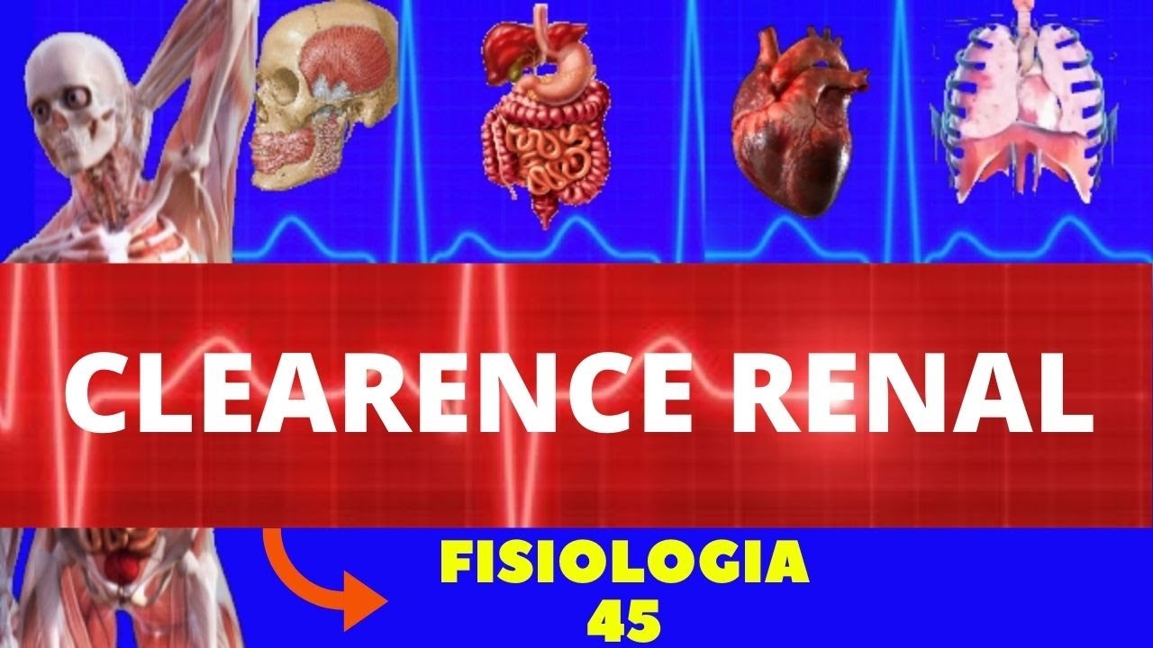 CLEARANCE RENAL (FISIOLOGIA HUMANA) - FISIOLOGIA RENAL - FISIOLOGIA DE GUYTON - SISTEMA RENAL