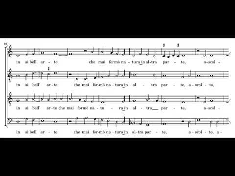 Verdelot: Igno soave - Profeti della Quinta