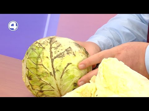 Как хранить и перерабатывать белокочанную капусту | Михаил Карпухин