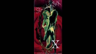 X(X JAPAN) Standing Sex from PERFECT BEST