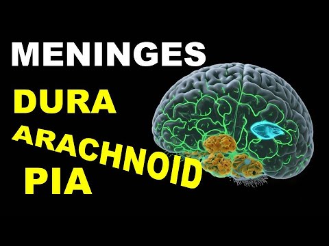(Chp#15) MENINGES | Dura Mater | Arachnoid Mater | Pia Mater | Snell's NeuroAnatomy |