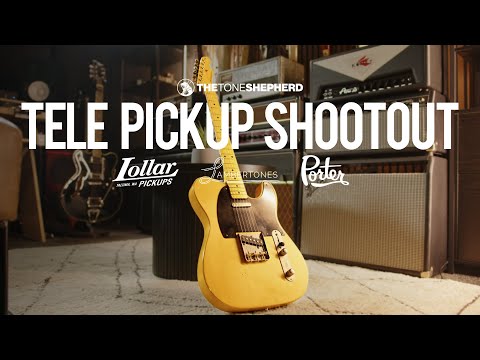 Tele Pickup Shootout // Lollar | Lambertones | Porter