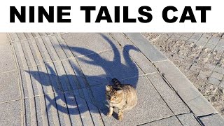 FINAL BOSS MEMES