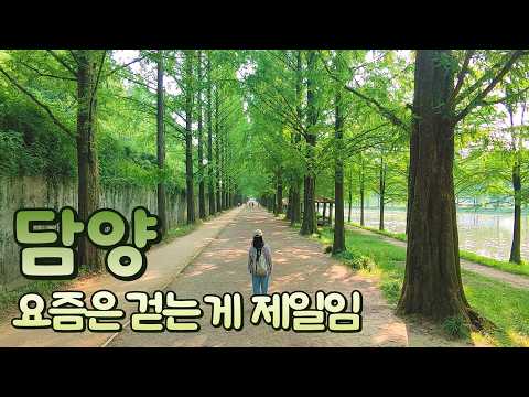 생각 정리에 좋은 방법: 걷기와 멍때리기, 그리고 담양 여행의 매력