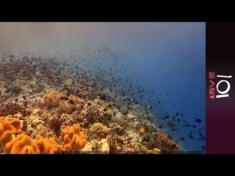 🇮🇩 Indonesia: The Last Reef on Earth | 101 East