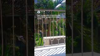 Download lagu story#Wa buat sindir musuh😁 mp3