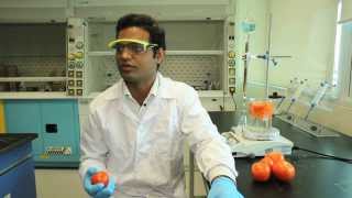 2013 The Catalyst - Peeling away layers of impurities