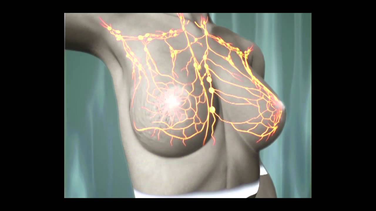 Miriam Aide Quintana Espinosa-5