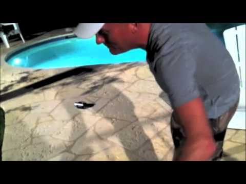 Kevin Fowler and the Snake