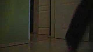 Lonely Girl Sandi Thom