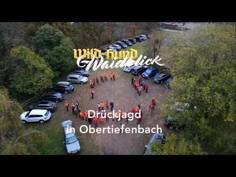Drückjagd in Obertiefenbach 2022 - PareyGo Classics