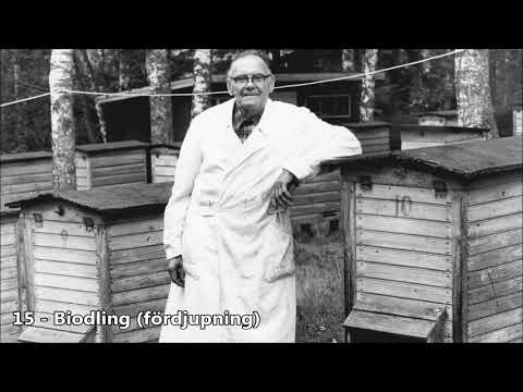 15 Biodling fördjupning