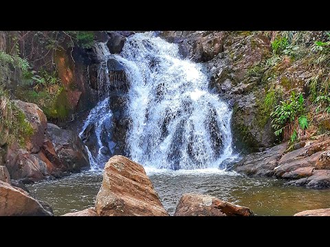 Ponto Turístico Cachoeira dos Lopes, (Cambui mg)