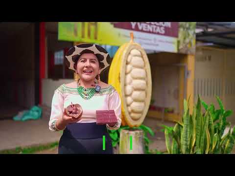 "¡Zamora Chinchipe es la verdadera cuna del cacao en el mundo!