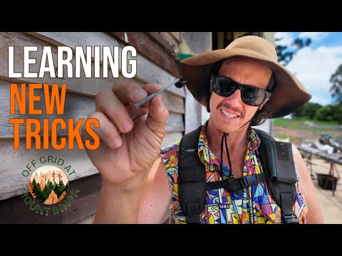 Porch and Bay Window Rebuild: Rot Revealed + Soap Nail Hack (Part 1) - Ep 35