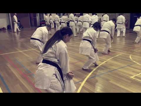 Pt 1: Cat Stance Combination (Sepai & Hangetsu)