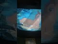 Closing To Bambi 1989 VHS