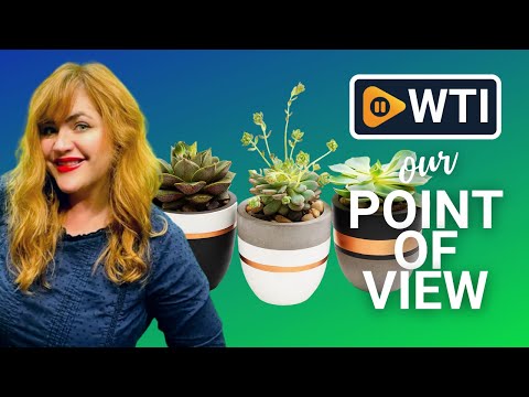 PASENITY Painted Concrete Plant Pots - WTI product video review
