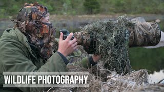 1 YEAR OUTDOOR with WILDLIFE PHOTOGRAPHY // Nikon Z8 - beaver photography in 4K