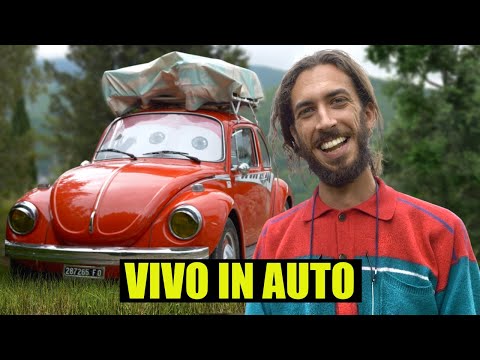 The Pianist Who Lives in a Beetle in the Mountains - thepillow