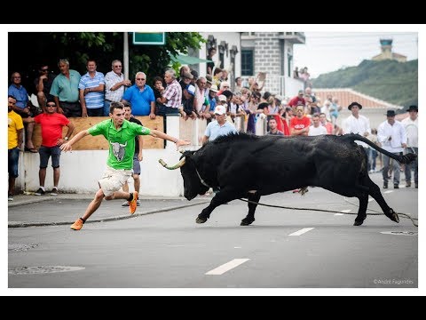 Imagens da Tourada CAJAF no Juncal a 09 de Agosto de 2017