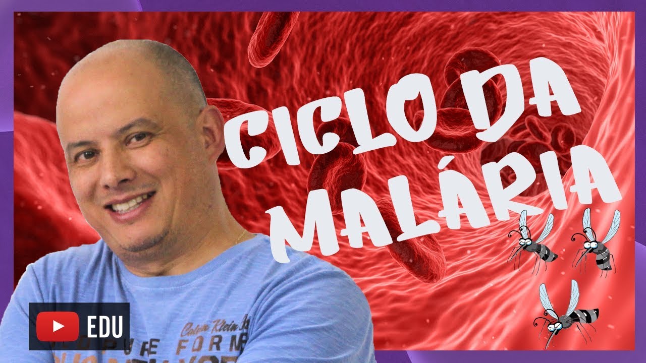 Ciclo da Malária I Parasitologia