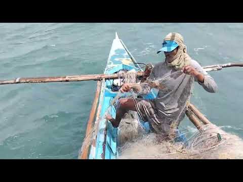 ANG PAGBATAK SA LAMBAT NI KUYA KIM DAMING HULI TSAMBA PA #netfishing #fishing #lambat #lobster