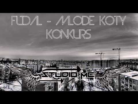 Fudal - Młode koty - Konkurs