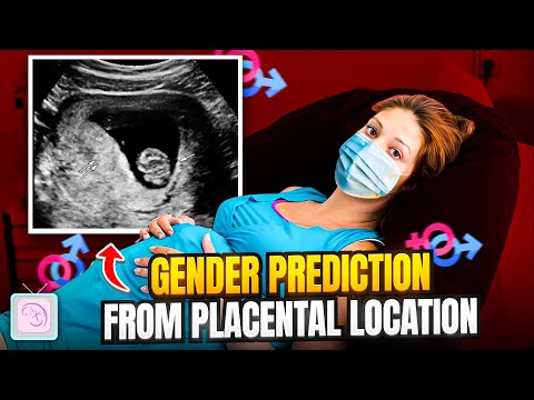 Ovulation Predictor Tests Will They Help You Become Pregnant