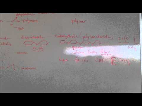 Biology-The Cell-Chapter 6-Tour of the Cell