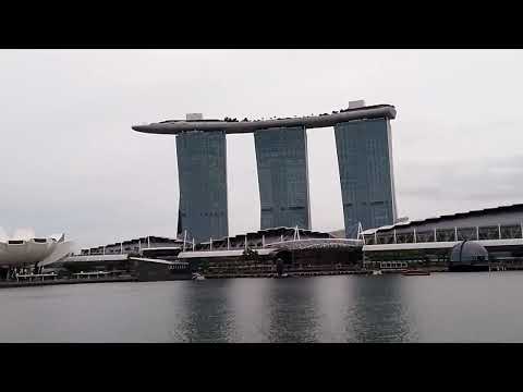 World tour avec Delphine Bell écrivain" Inattendu" chez Le Lys bleu editeurs