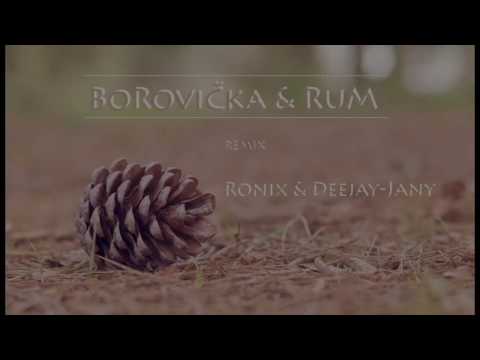 Ronix & Deejay-Jany - Borovička & Rum |Remix