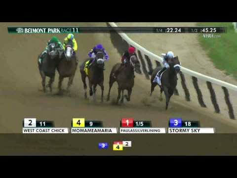 Paulassilverlining - 2016 Vagrancy Handicap En Espanol