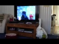 Oliver The Goose Watching Sesame Street